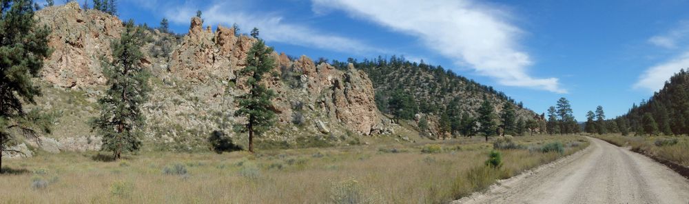 GDMBR: Cycling north on NF-28, La Jolla Canyon, Gila NF, NM.